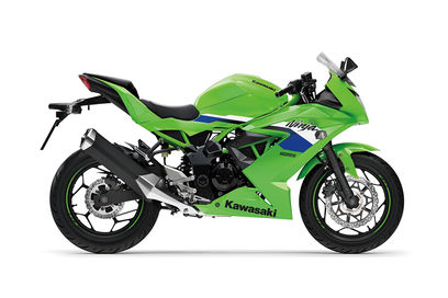 Lime Green Lime Green