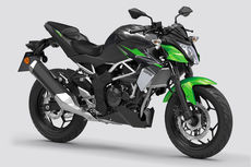 Kawasaki Z125 Mileage Kawasaki Z125 Mileage
