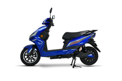 Royal Blue