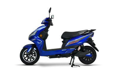 Royal Blue Royal Blue