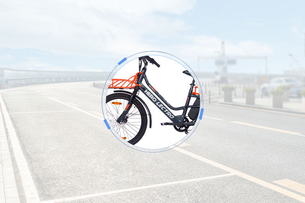 Hero Lectro WINN Brand Badge