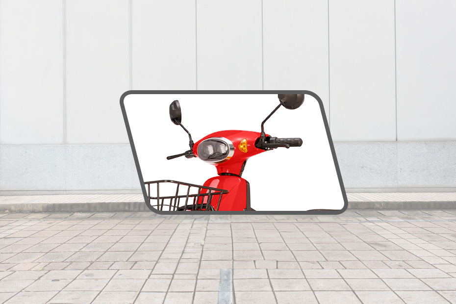 Odysse Trot image 4