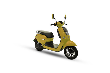 lite6315ce368b4ad.jpg?tr=w-265