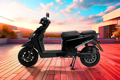Quantum BZiness Side Profile View (Left) Quantum BZiness Side Profile View (Left)
