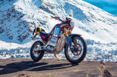 Himalayan Electric Brown