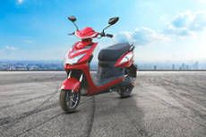 Vatsal250 Barberry Alto