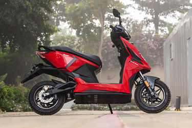 Simple One Side Profile View (Right)