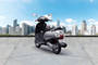 Suzuki Access 125 Rear Left View