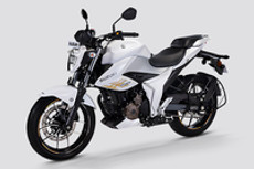 Suzuki Gixxer 250 User Reviews