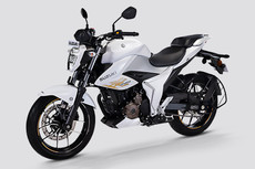 Suzuki Gixxer 250 Brochure