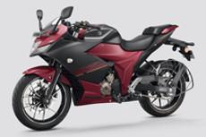 सुजुकी जिक्सर एसएफ 250 फ्लेक्स फ्यूल कलर्स