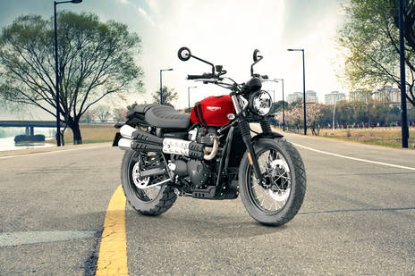 Triumph Scrambler 900 STD