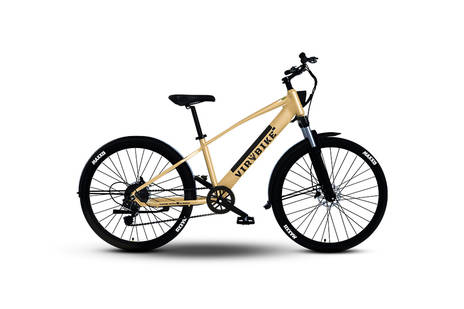 Udchalo Virbike V3 Insurance