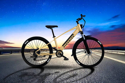 Udchalo Virbike V3