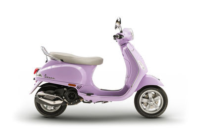 Lilac Euforico Lilac Euforico