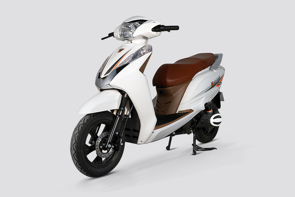 Yakuza Sparrow Front Left Quarter View