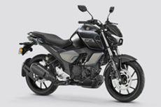 Yamaha FZ Blue Flex User Reviews