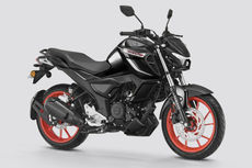 Yamaha FZ-RAVE Mileage