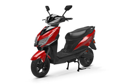 Suzuki Red Suzuki Red