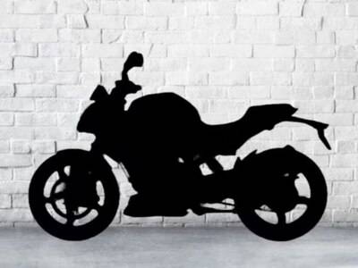 Here’s Your Very First Look At The TVS Apache RTR 310