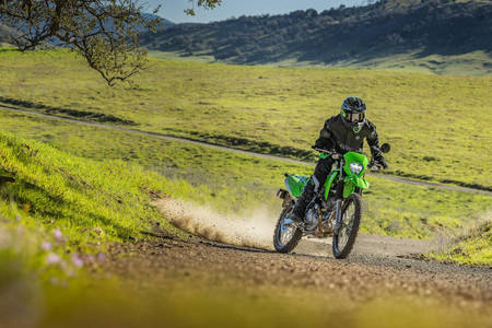 BREAKING: Kawasaki KLX 230 Launched in India