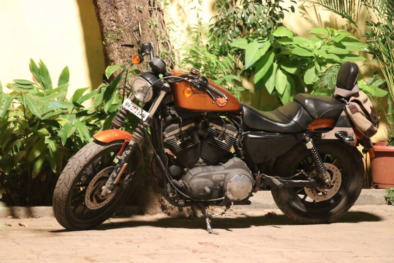 Harley Davidson Sportster Iron 883 STD