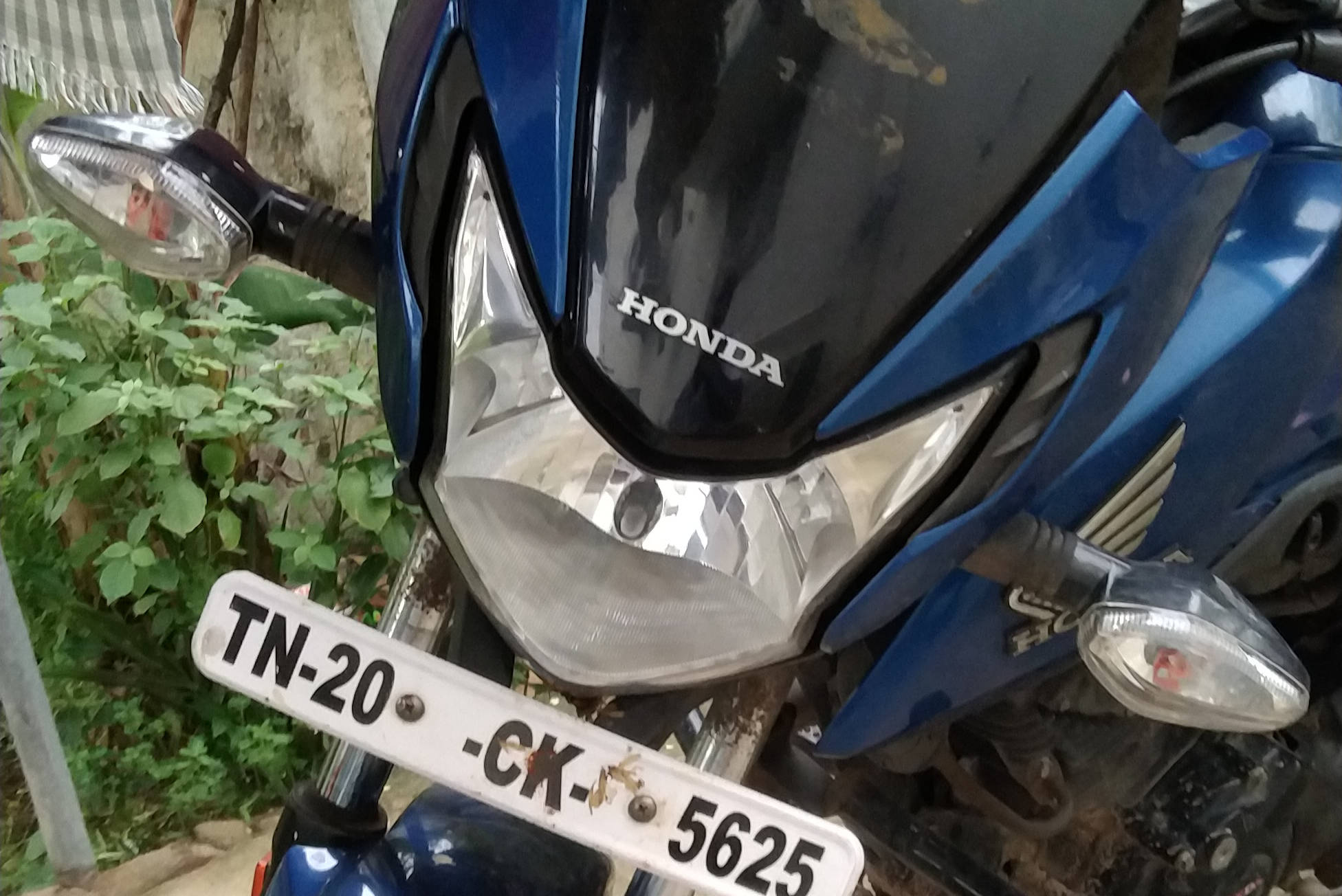 Honda Livo Disc 