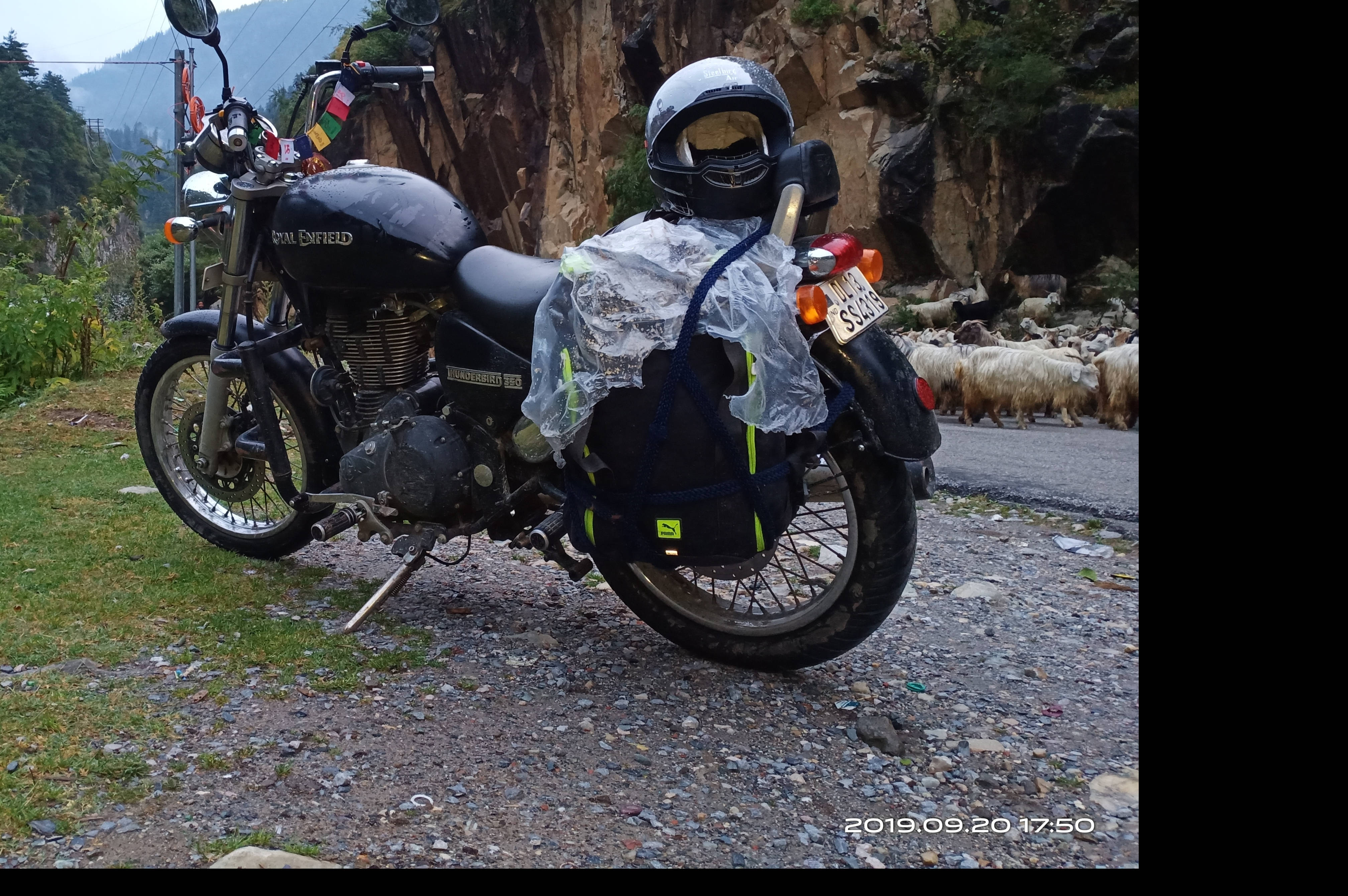 Royal Enfield Thunderbird 350 STD