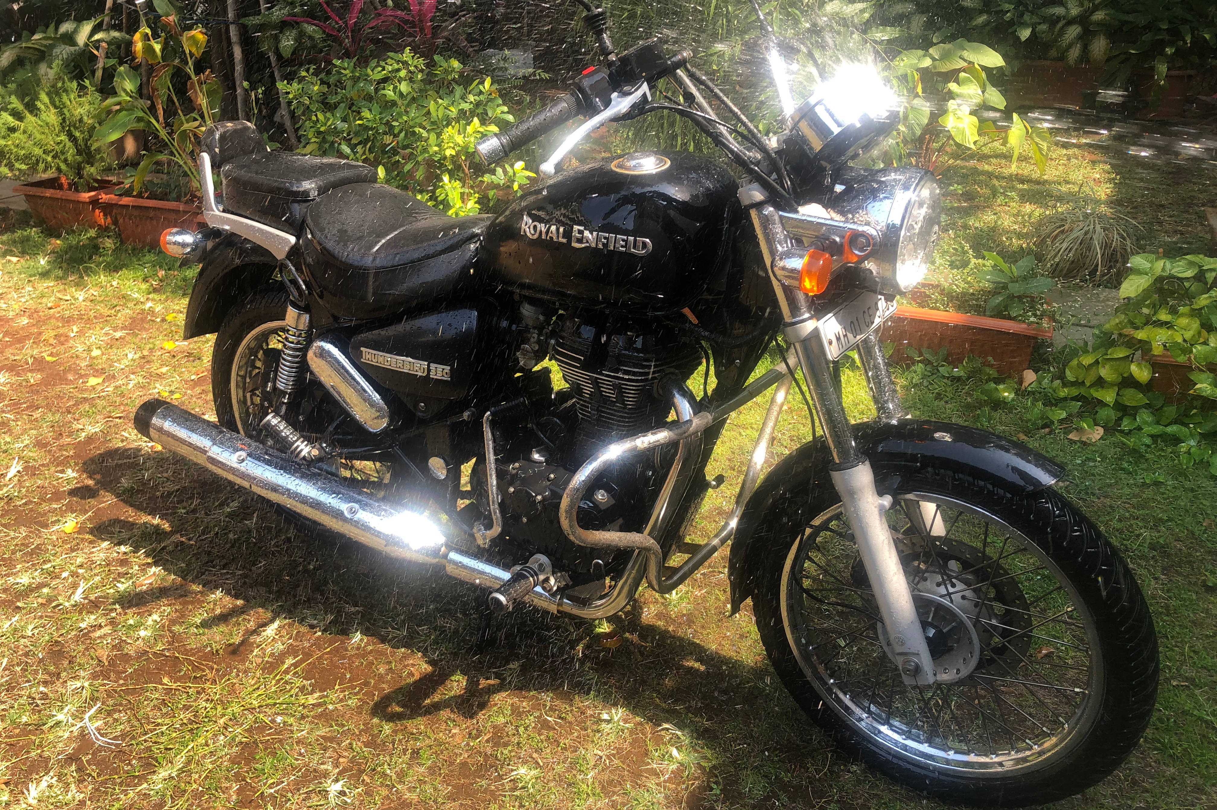 Royal Enfield Thunderbird 350 STD