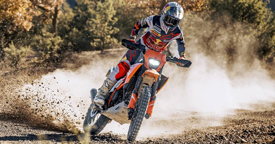 390 Enduro R