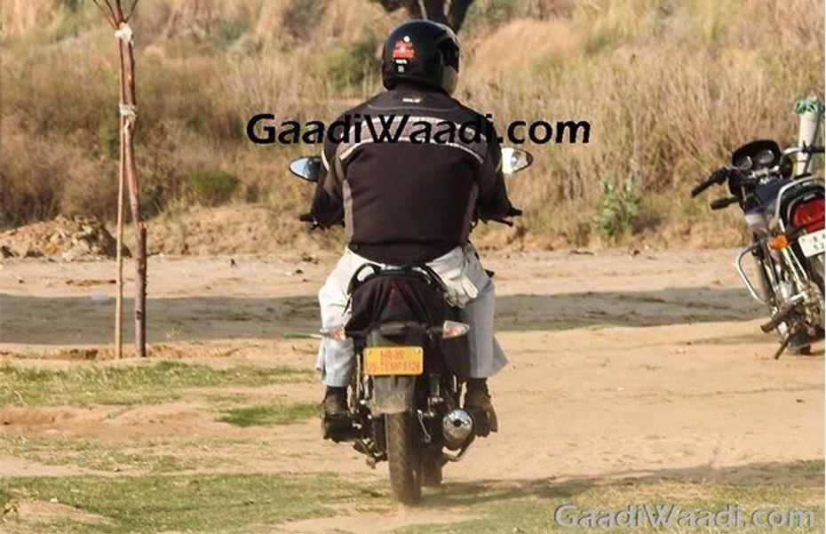 Spied Images of passion Pro from rear Spied Images of passion Pro